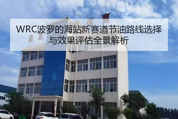 WRC波罗的海站新赛道节油路线选择与效果评估全景解析